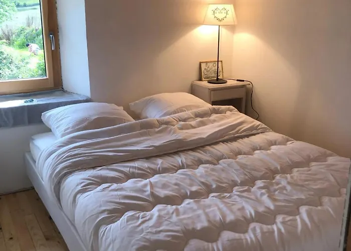 Maison Conviviale A Avec Sauna *